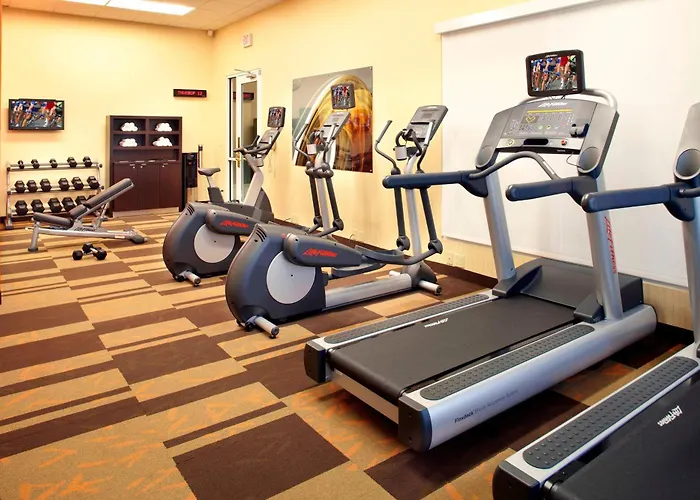 Courtyard Tampa Oldsmar